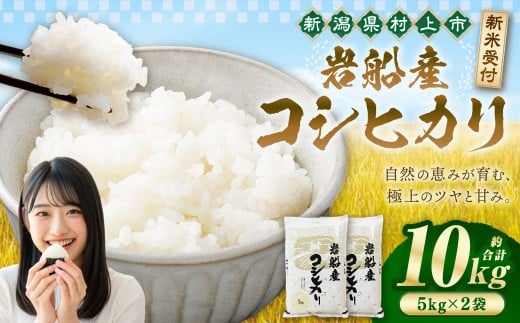 【令和7年産米】新潟県村上市岩船産コシヒカリ10kg（5kg×2袋）　1102002