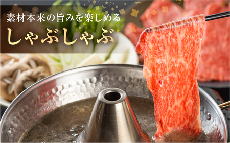 白川郷 飛騨牛 赤身 しゃぶしゃぶ用 500g 高山米穀 飛騨牛 [S560]