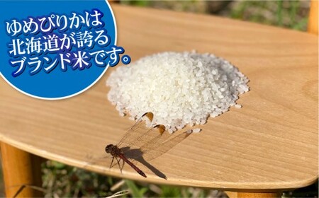 【9回定期便】 ゆめぴりか （2合×5パック）×9回 計13.5kg｜  最上品質米 ご飯 ごはん 米 お米 おこめ ライス こめ コメ おにぎり リゾット パエリア お弁当 小分けサイズ 真空 長期