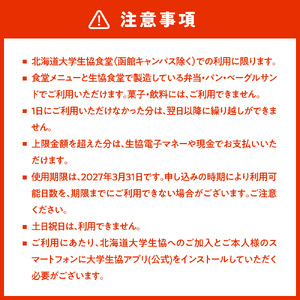 北大生協食堂で利用できる　お食事券40日分（1日上限700円）