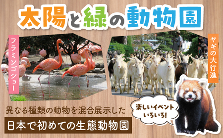 宮崎市フェニックス自然動物園年間パスポート（小人）  動物 動物園 イベント チケット 引換券 入園券 レストラン お土産 グルメ 宮崎市フェニックス自然動物園 小学生 中学生
