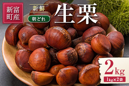 ＜2026出荷!!＞国産 新鮮朝どれ（生栗）2kg お取り寄せ 産地直送 宝珠栗 数量限定 宮崎県新富町産【B669-26】