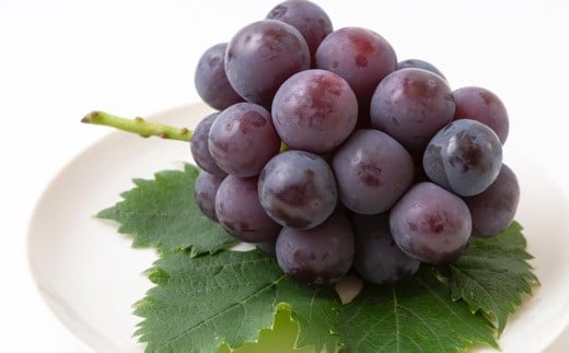 ピオーネ 3～5房（約2kg）