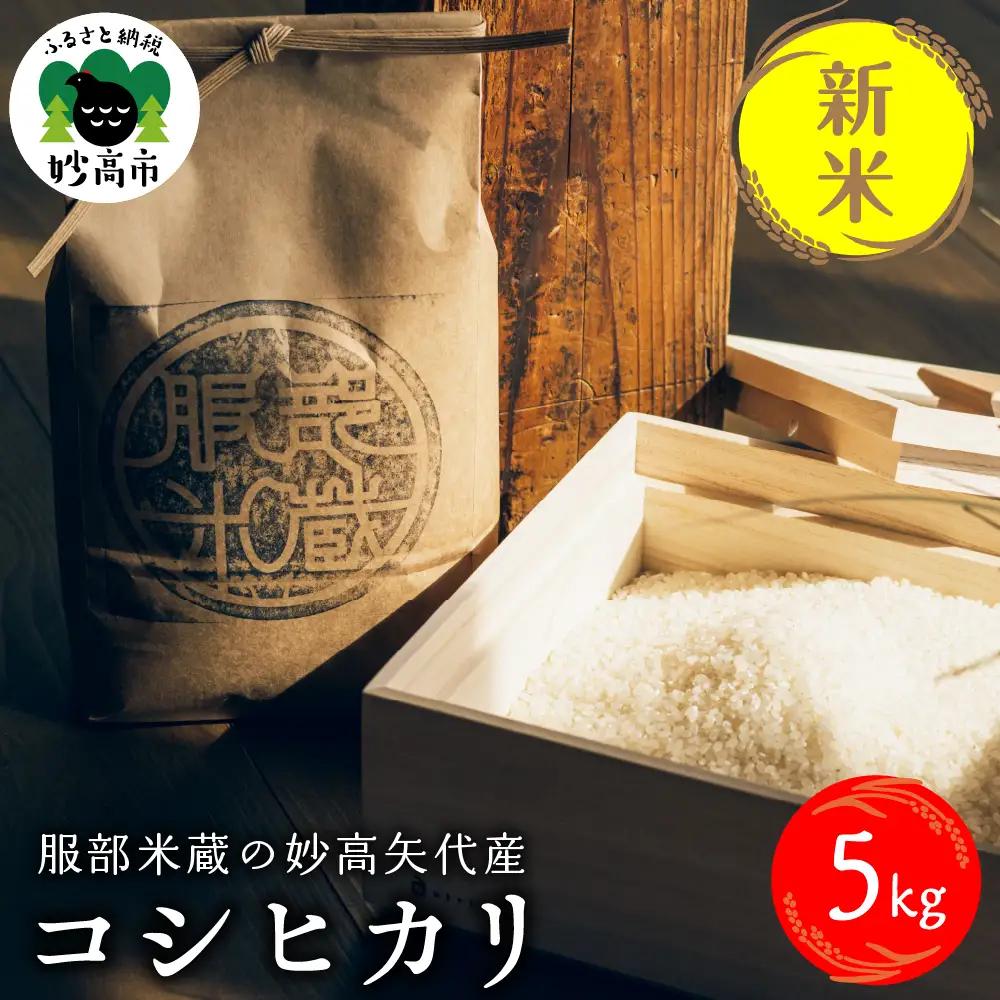 先行予約【令和8年産】服部米蔵の妙高矢代産コシヒカリ5kg　10月中旬から発送