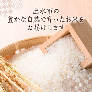 鹿児島県 出水市産 ヒノヒカリ 山水米 10kg 白米 精米 【JA鹿児島いずみ(米)】 i072