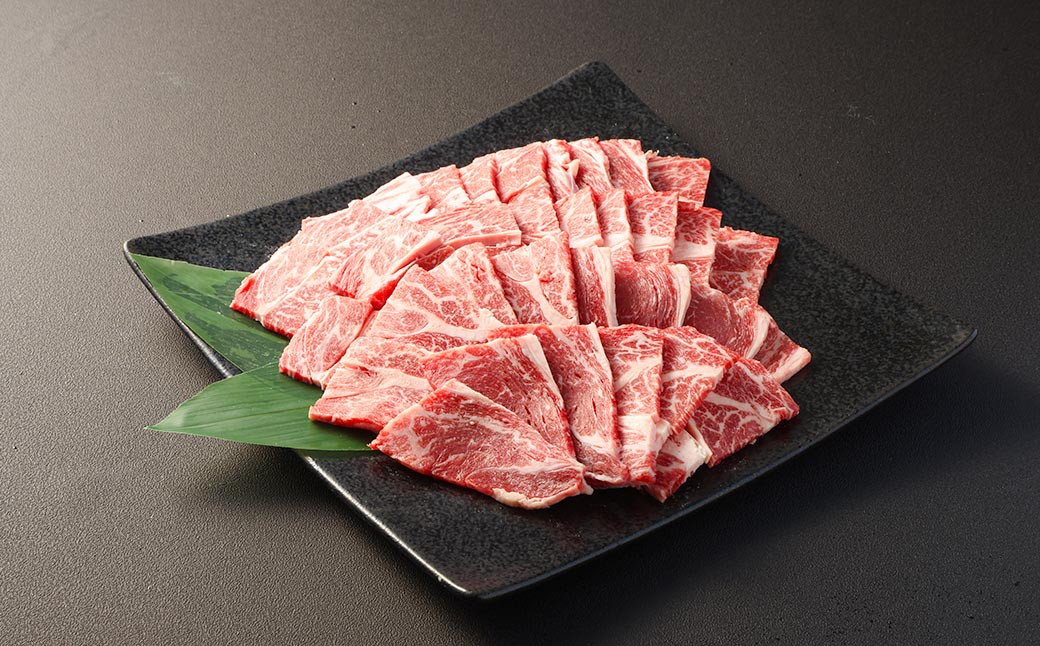 
【訳あり】赤牛 焼肉 用 カット （バラ・ロース） 500g 熊本県産 牛肉 牛 国産 国産牛 熊本 肉 あか牛 焼き肉 セット 牛バラ 牛ロース
