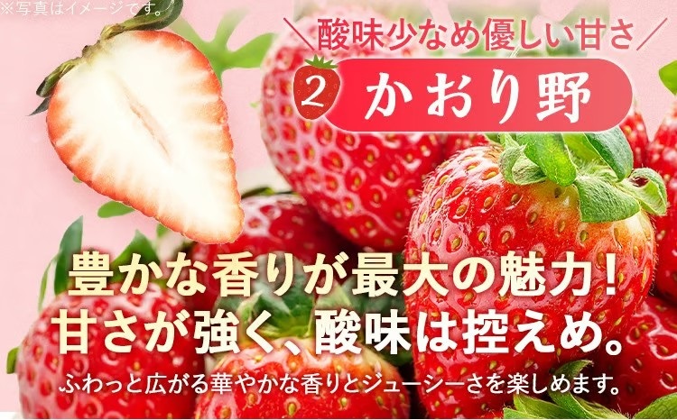  【2027年2月より順次発送】福岡いちご3種　食べ比べセット（あまおう＆かおり野＆紅ほっぺ））2026