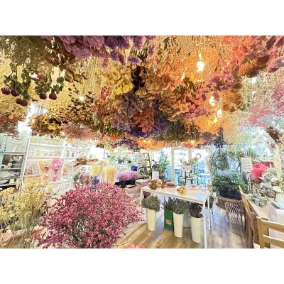 ふるさと納税 直方市 ドライフラワーお任せ花籠アレンジ |  | 03