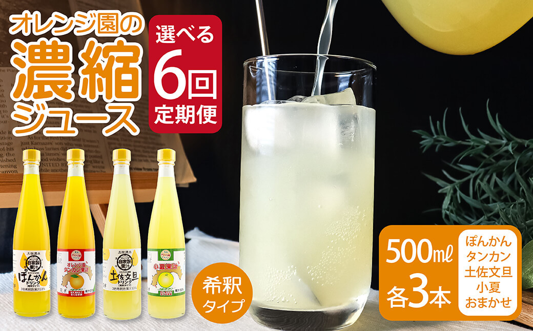 
オレンジ園の濃縮ジュース（ぽんかん・タンカン・土佐文旦・小夏・おまかせ）500ml 各3本～ 6回定期便 希釈用 みかんジュース チューハイ用 ドリンク ジュース 柑橘類 蜜柑 みかん【J00112-1】
