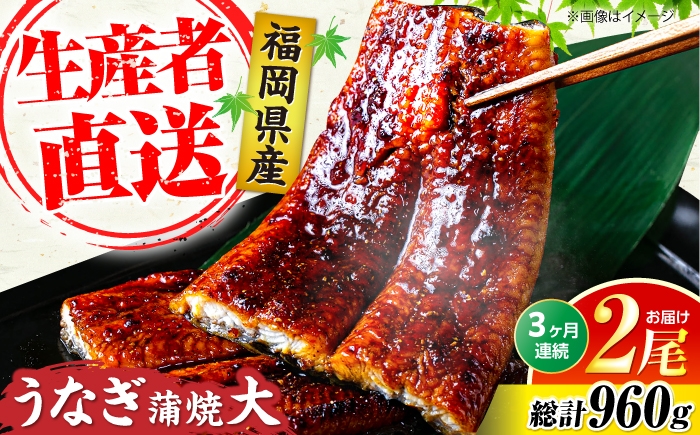 
                  【全3回定期便】福岡県産 うなぎ 蒲焼 大2尾 合計 320g（1尾あたり160g以上）《豊前市》【福岡養鰻】[VAD011] 定期便 国産 九州産 鰻 ウナギ unagi 定期便 うな重 うな丼 ひつまぶし かばやき タレ 真空パック 特産品 ギフト 贈答 定期 2尾
                