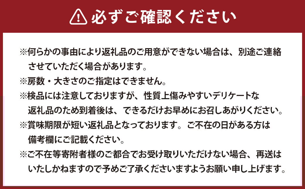 《種なし》 岡山県産 クイーンニーナ 1房（約600g） 【2025年8月下旬～2025年9月下旬発送予定】 ／ ぶどう ブドウ 葡萄 大粒 種なし 種無し フルーツ 果物 くだもの 果実