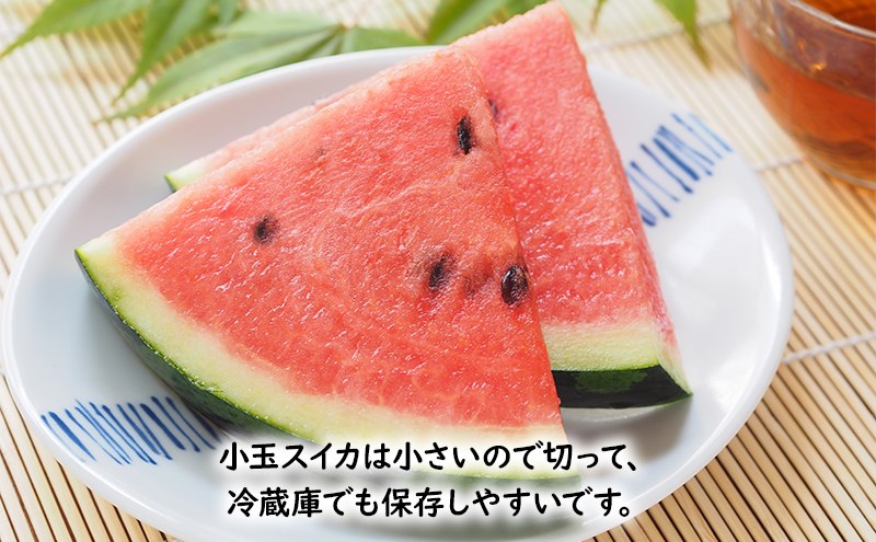 【2026年夏発送】 メロン スイカ 富良野の旨さ 赤肉メロン 