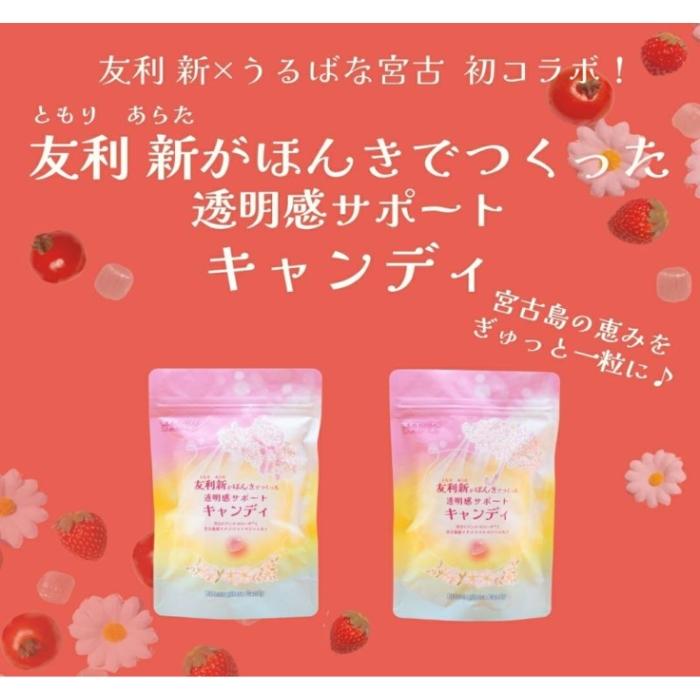 【ふるさと納税】CE135　友利新がほんきでつくった透明感サポートキャンディ （32.5g×3袋）