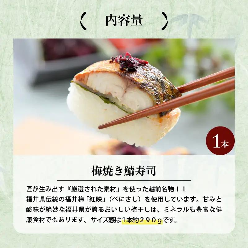 梅焼き鯖寿司 1本 鯖寿司 冷凍 [A-0555]