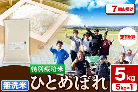 《定期便7ヶ月》令和7年産【無洗米】特別栽培米 ひとめぼれ 5kg 秋田県産 [ひとめぼれ 米 お米 白米 精米 無洗米 特別栽培米 ブランド米 食卓 秋田県産 秋田県 由利本荘市]