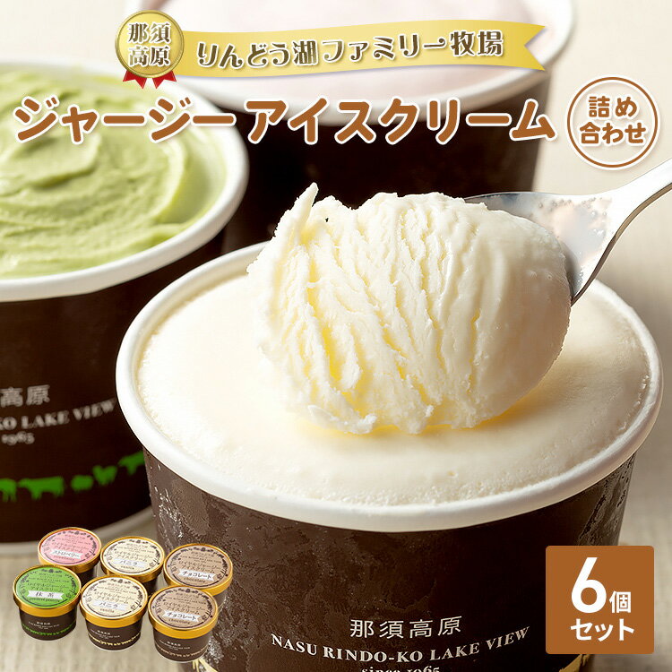 【ふるさと納税】【お申込みから7日以内発送】那須高原りんどう湖ファミリー牧場 ジャージーアイスクリーム 6個 詰め合わせ｜あいす アイス バニラ チョコ ストロベリー 抹茶 デザート スイーツ おすすめ ギフト 那須 栃木県 那須町〔P-224〕