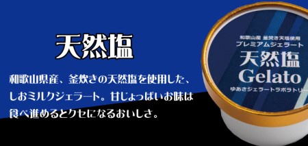 プレミアムジェラート 天然塩12個セット アイスクリームセット 100mlカップ ゆあさジェラートラボラトリー 【kstb700-04】