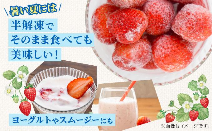 福岡県産 冷凍あまおう500g(250g×2個) 500g