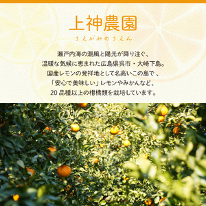 【2025年11月～発送】ジュース用 レモン 約5kg  ku011-042-25