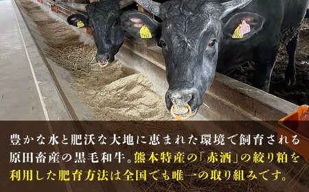 【全3回定期便】熊本県産 『原田畜産』 黒毛和牛 ランプ ステーキ 計約400g（約200g×2パック） 牛肉 牛【有限会社 九州食肉産業】[AYCN088]