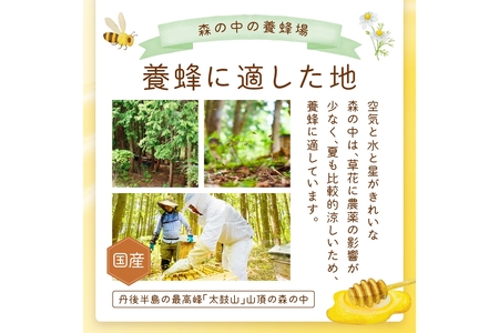 京都 生はちみつ「京丹後 山頂のはちみつ」 500g(100g×5) 【国産　非加熱】　ハチミツ　蜂蜜 ハニー