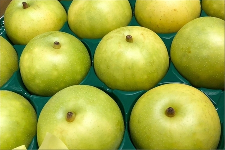 京丹後の梨ジュース 小瓶3本入り