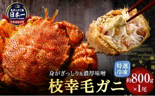 【漁獲量日本一】至福の逸品！特選冷凍「枝幸毛がに」約800g×1尾 毛蟹 毛ガニ オホーツク 北海道