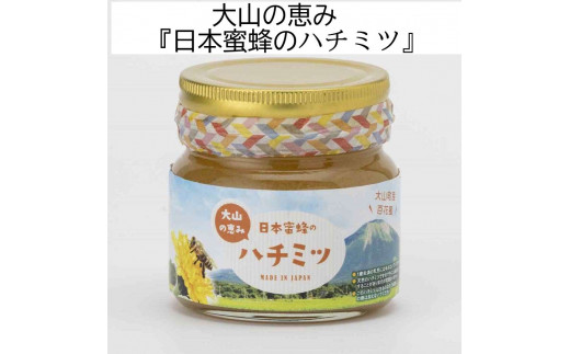 MS-82　大山町産プレミアムはちみつ「日本蜜蜂のはちみつ」（290g×2本）