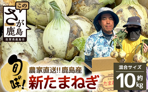 先行受付【生産者直送】鹿島産 新たまねぎ 約10kg サイズ混合 |【2027年4月中旬頃～出荷予定】AA-17