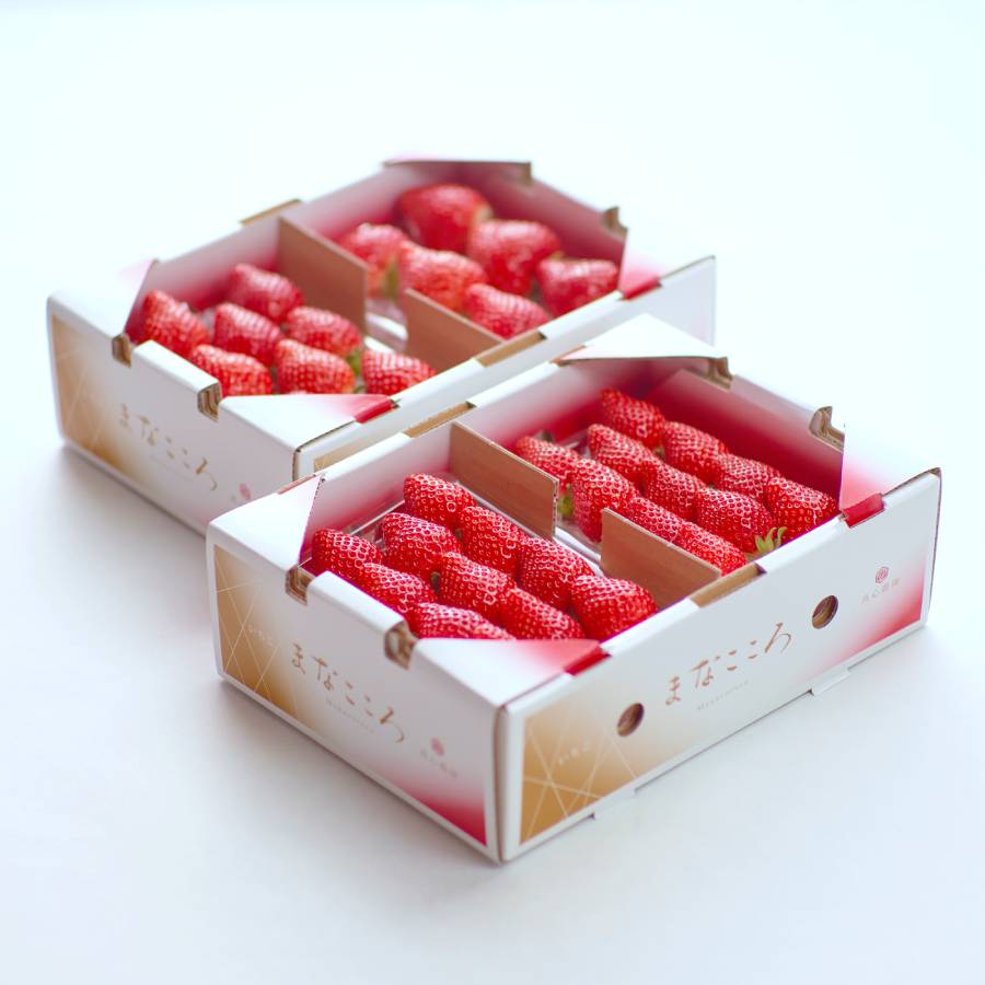 ＜まなこころ＞葵　とちおとめ　2箱（4パック入り）1040ｇ　1パック当たり260ｇ（15～20粒）