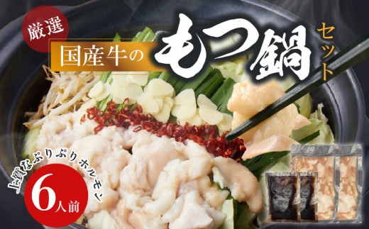 
                  【食肉総合卸 丸正】厳選国産牛のもつ鍋セット（6人前）
                