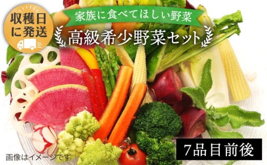 【 栽培期間中農薬 ・ 化学肥料 不使用 】こだわり 高級希少野菜 セット《糸島》【オーガニックナガミツファーム】[AGE014]