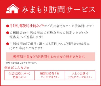 みまもり訪問サービス 3か月【日本郵便】 防犯 見守り 郵便局 [TAV007]