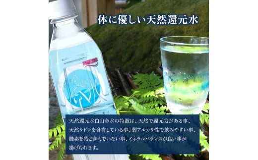 白山命水 セットD 12回定期便（10l×1箱） ミネラルウォーター 国産 人気 水 白山命水 天然水 定期 定期便