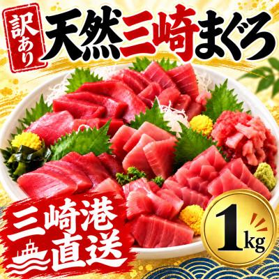 ふるさと納税 三浦市 【訳あり】天然三崎まぐろ 赤身 1kg 家計応援 10人分!不揃い　海鮮 刺身 漬け