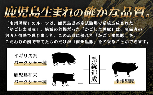 かごしま黒豚５種 贅沢盛り合わせ ( 約1kg ) NS-34 | 豚肉 ぶた セット ５種 冷凍 詰め合わせ 肩ロース ロース バラ もも ももスライス 赤身 脂身 薄切り 部位 焼肉 しゃぶしゃぶ