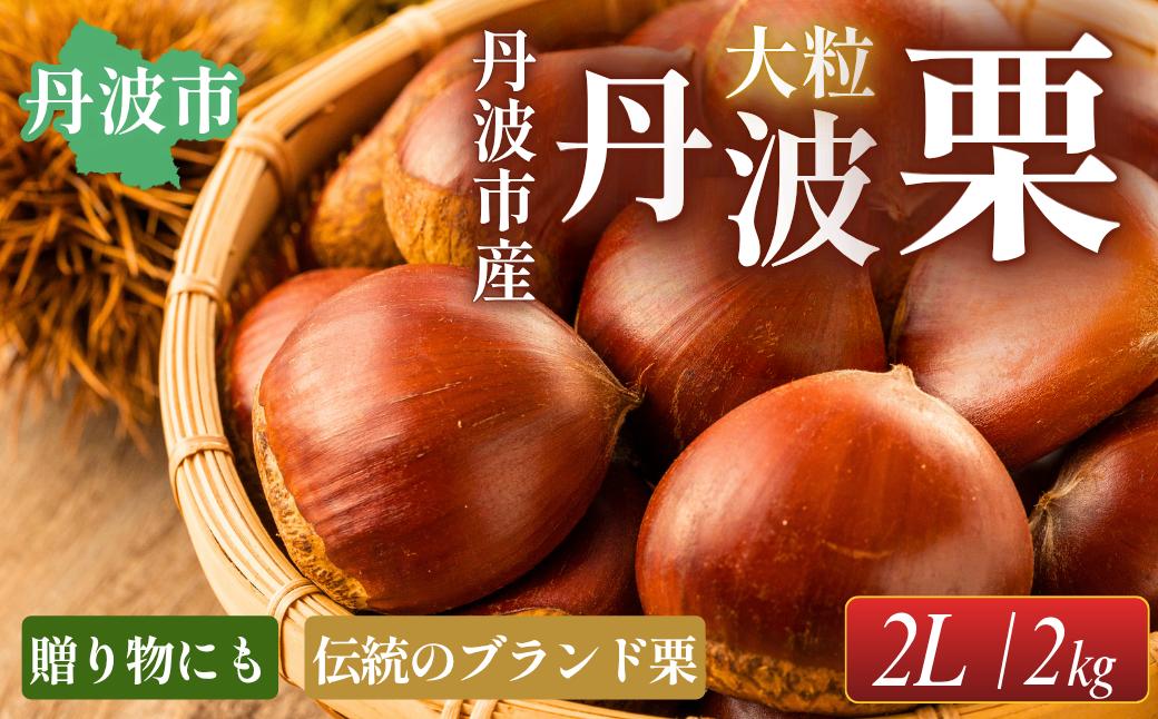 
                  丹波栗 2L 2kg 兵庫県丹波市産 大粒 甘み濃厚 秋の味覚 国産 栗 農家直送
                