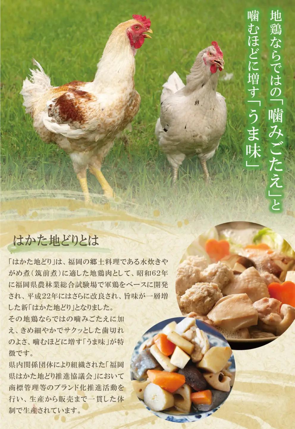 Z12-81 はかた地どり 炭火焼500g定期便(隔月・年6回)  地鶏