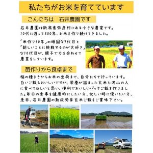 熟成3日 発芽玄米ご飯 パックご飯 12個(3パック×4セット)  コシヒカリで作った酵素玄米【1497863】