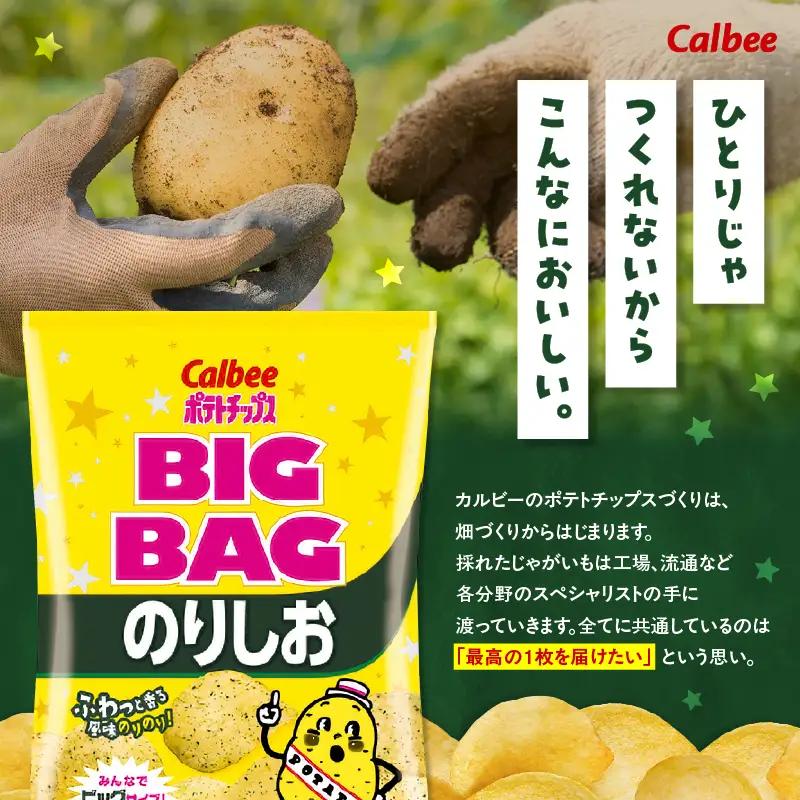 カルビー ポテトチップス BIGBAG【のりしお】12袋 K194-002_08 菓子