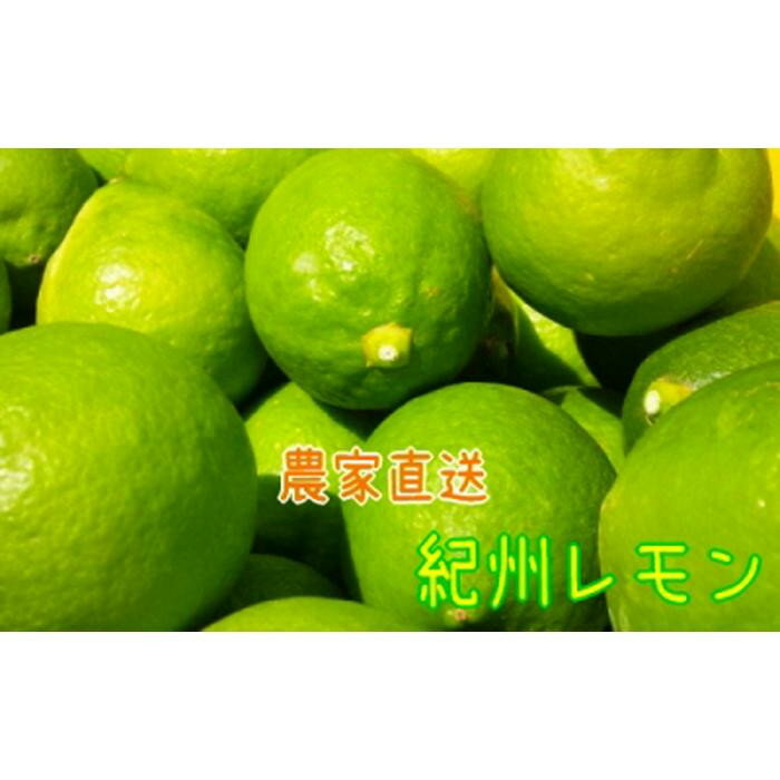 【ふるさと納税】国産 農家直送 紀州レモン 約3kg サイズ混合 ［MS122］ | フルーツ 果物 くだもの 食品 人気 おすすめ 送料無料