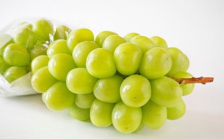 【定期便3回】好きですやまがた！夏から始まる果実のおもてなし 3選【令和8年産先行予約】FS25-099