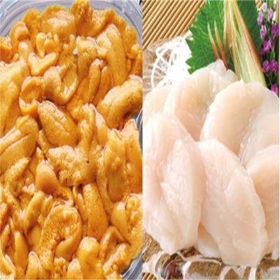 ふるさと納税 根室市 エゾバフンウニ塩水パック150g×1P、ホタテ貝柱500g[11月下旬以降発送] D-53028