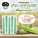 【ふるさと納税】【2025年発送】富良野産グリーンアスパラ約1kg M～2L[ビニールハウス栽培]【配送不可地域：離島】【1264526】