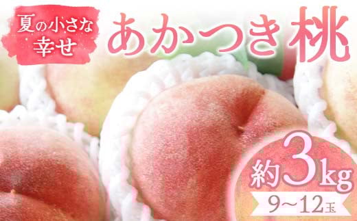 夏の小さな幸せ 桃「あかつき」約3kg（9～12玉） 桃 もも モモ 果物 くだもの フルーツ 国産 食品 F21C-067