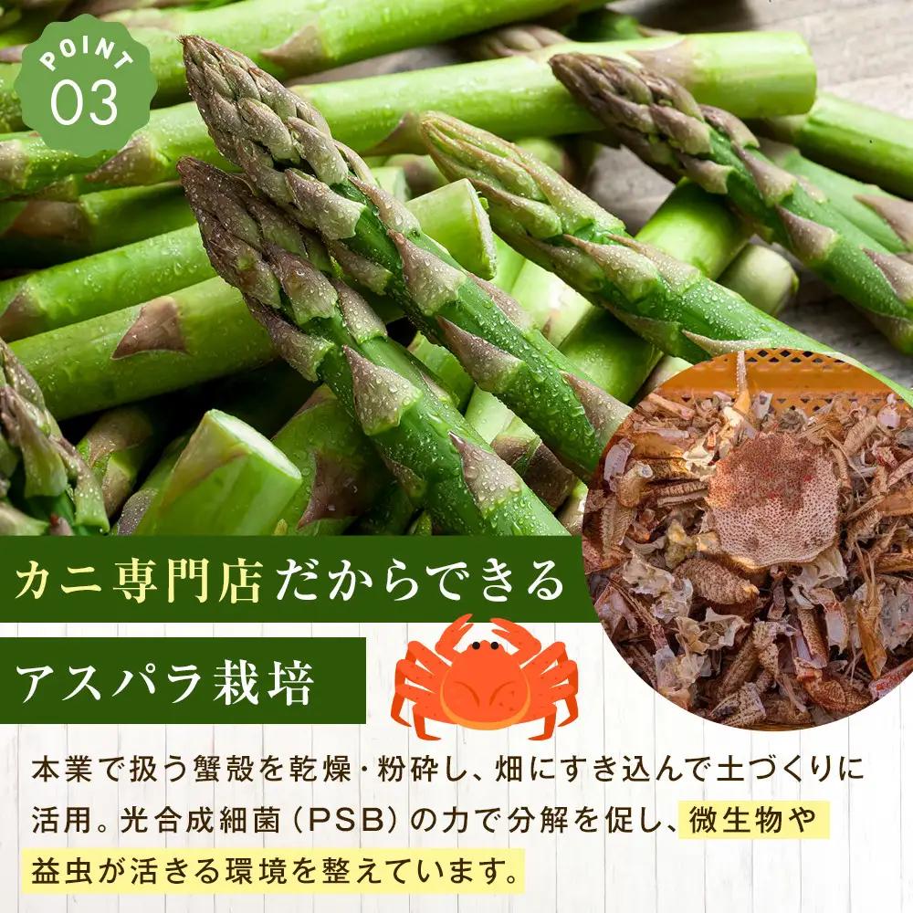 【2027年先行予約】朝採りアスパラ Lサイズ 2kg（500g×4）鮮度保持パック入り 旭川近郊産 露地物（5月中旬発送開始予定）| アスパラ 北海道 _01591