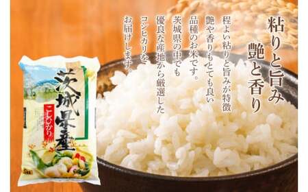 【隔月定期便（計6回）】茨城県産コシヒカリ（KY-13）
