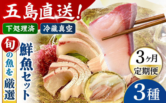 【3回定期便】【冷蔵】【下処理済】鮮魚ボックス3種 五島市/金沢鮮魚[PEP012] 金澤仕立て  鮮魚 冷蔵 真空パック 新鮮 下処理済み 海鮮 刺身 セット
