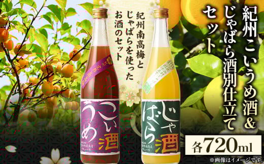 梅酒 紀州こいうめ酒＆じゃばら酒別仕立てセット 720ml×各1本 酒のねごろっく 《90日以内に出荷予定(土日祝除く)》和歌山県 岩出市 酒 梅酒 リキュール 飲み比べ 紀州 こいうめ酒 じゃばら酒別仕立て  じゃばら リキュール のみくらべ 呑み比べ セット ジャバラ 晩酌 日本酒 清酒 北山村じゃばら 酒セッ じゃばら  地酒　