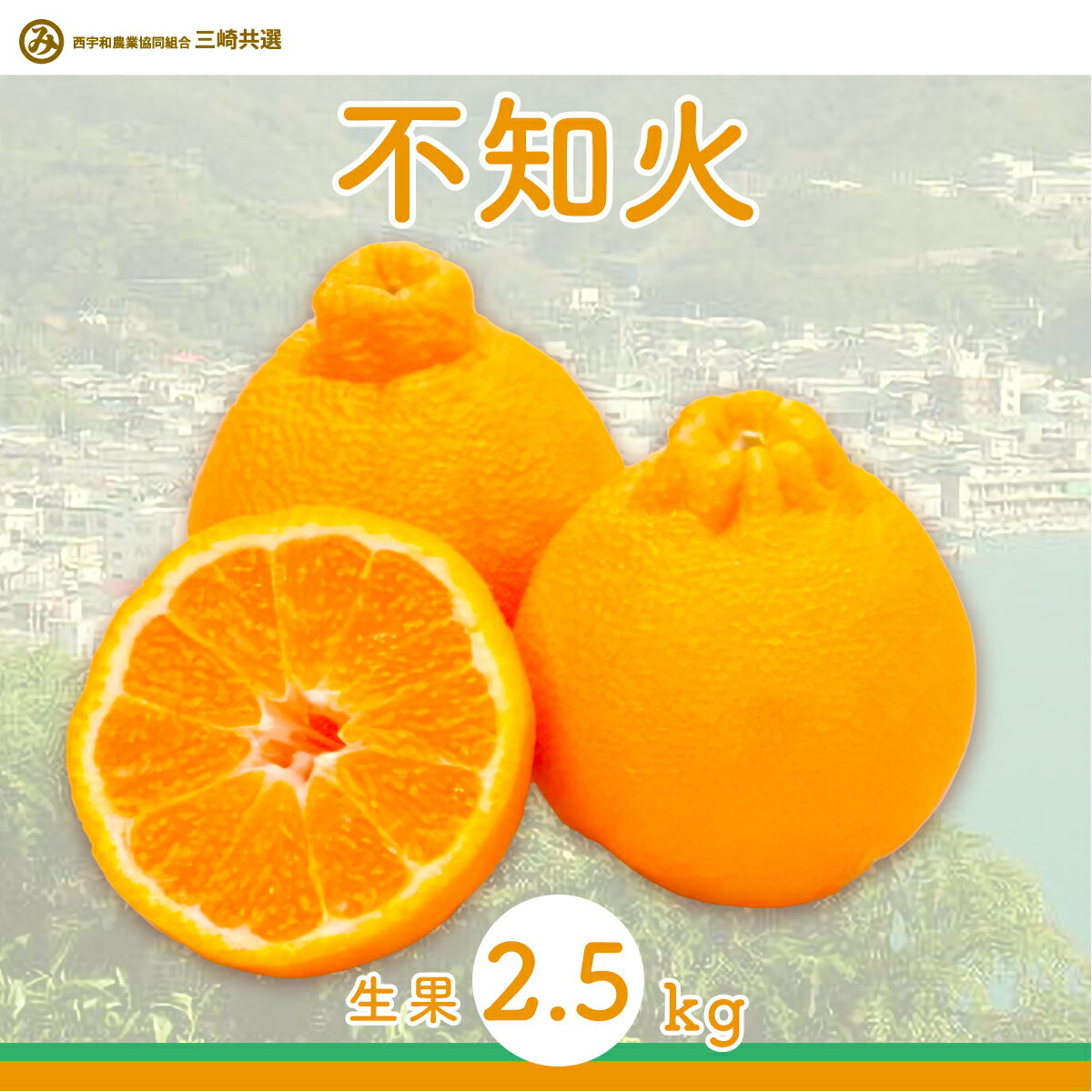 【ふるさと納税】【先行予約】不知火 生果 選べる 2.5kg ～ 5kg ※離島への配送不可（2026年2月上旬より順次発送予定）【 ふるさと納税 人気 おすすめ ランキング 柑橘 みかん ミカン 不知火 しらぬい 蜜柑 果物 生果 フルーツ 愛媛県産 愛媛県 伊方町 送料無料 】 IKTBD010